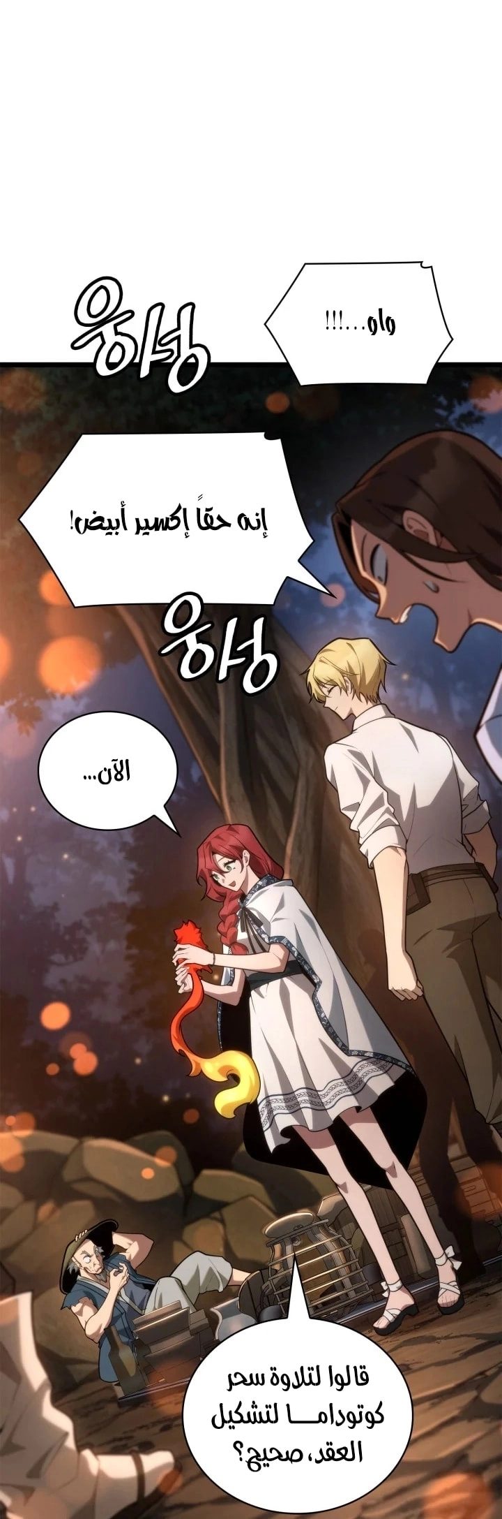 الصفحة 47