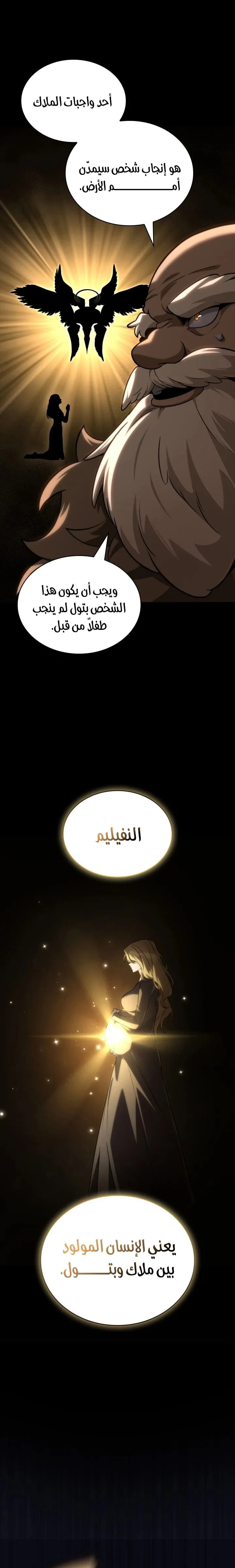 الصفحة 29