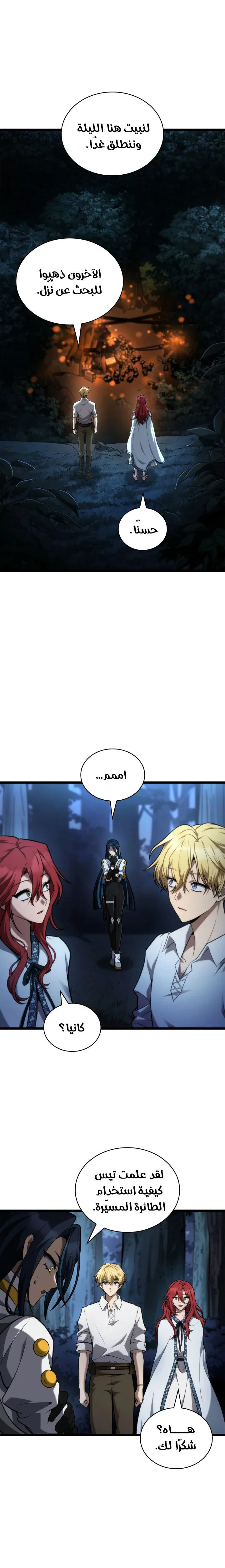 الصفحة 13