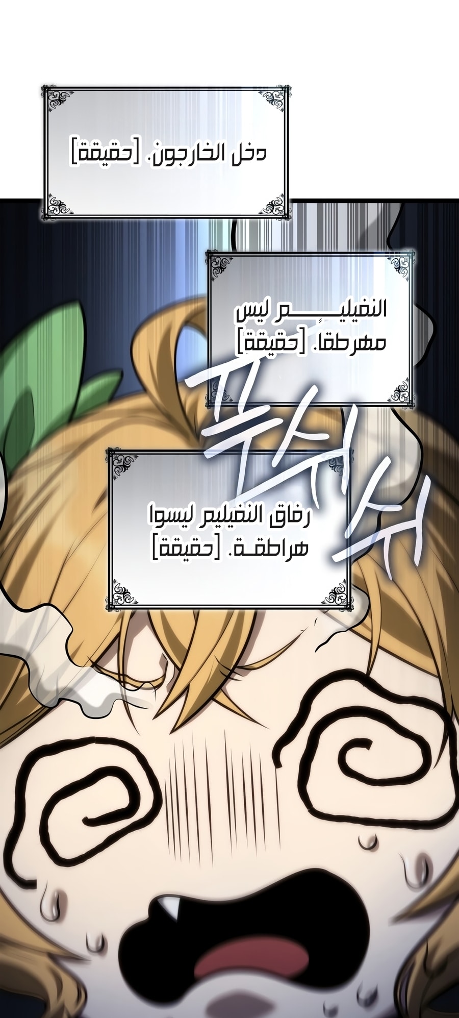 الصفحة 13
