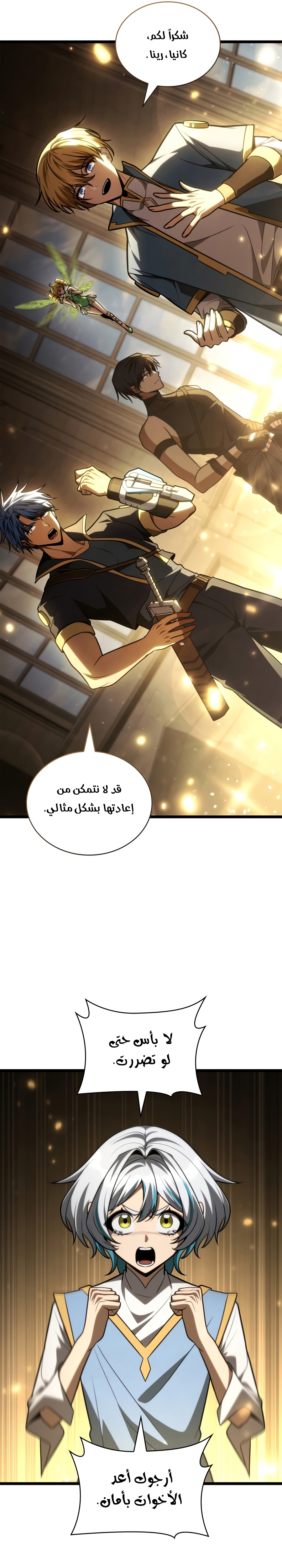 الصفحة 17