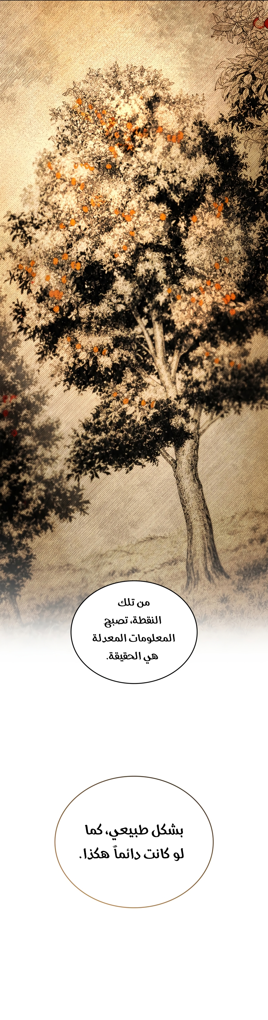 الصفحة 20