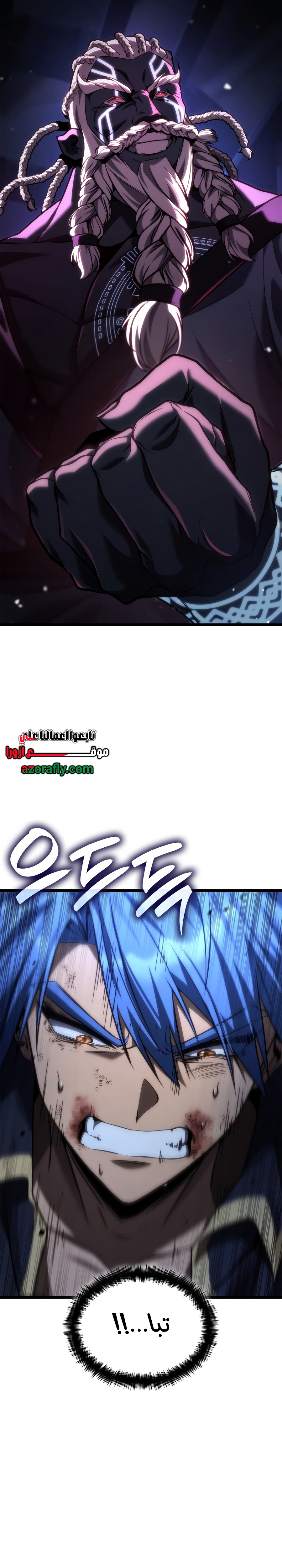 الصفحة 17