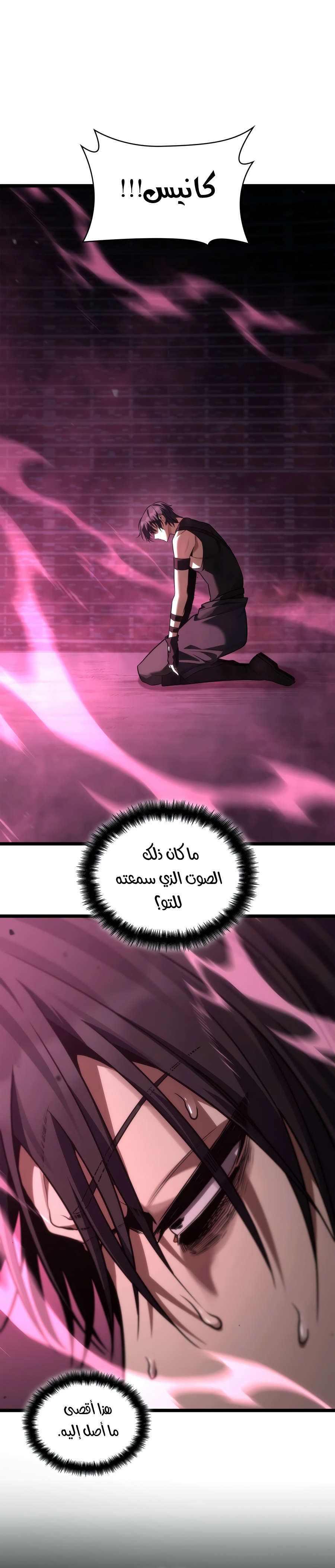 الصفحة 17