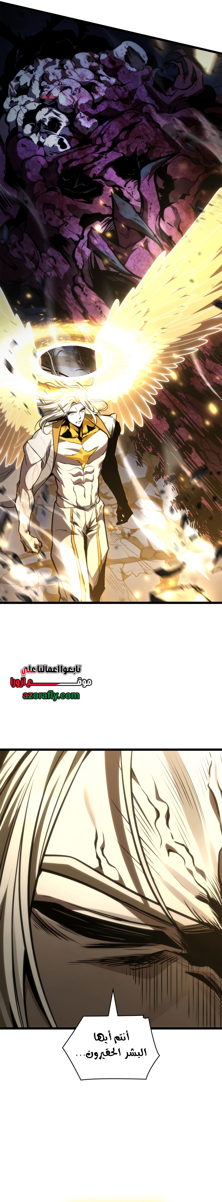 الصفحة 43