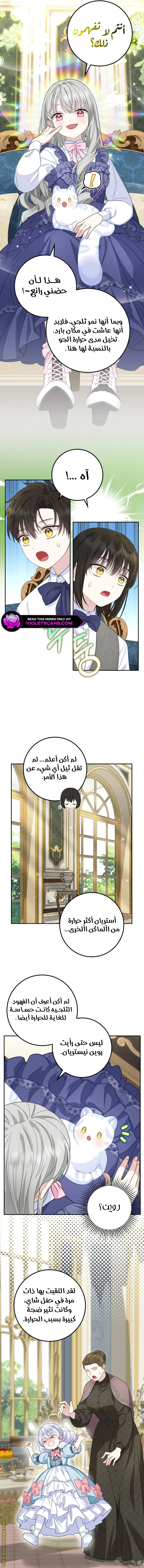 الصفحة 7
