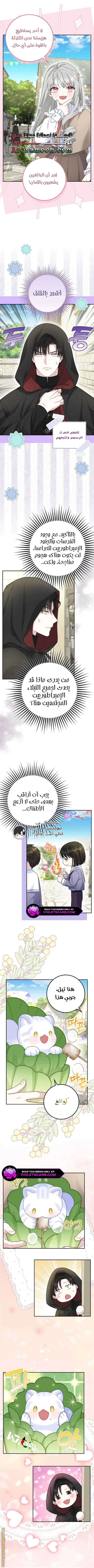 الصفحة 3