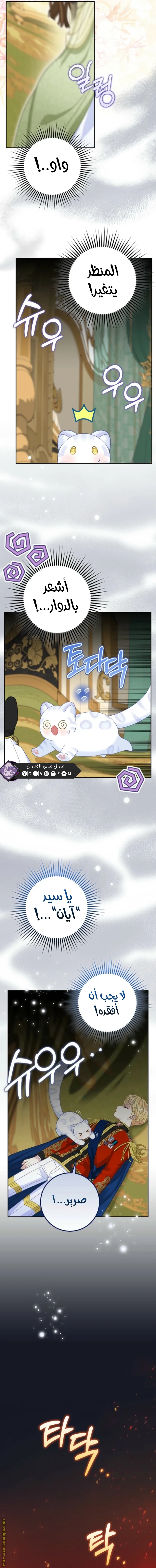 الصفحة 3