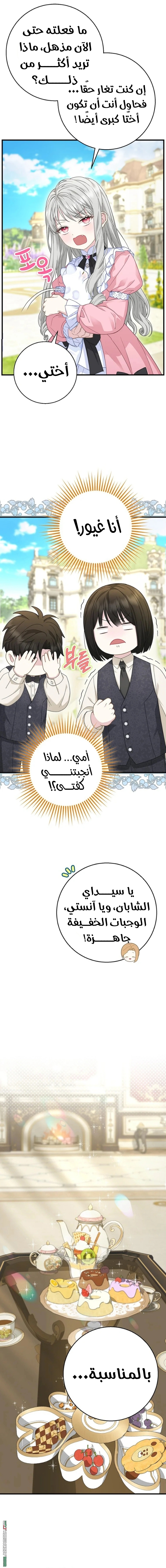 الصفحة 15