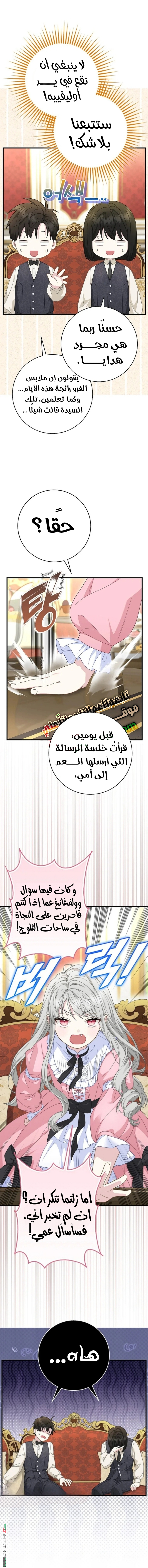 الصفحة 17