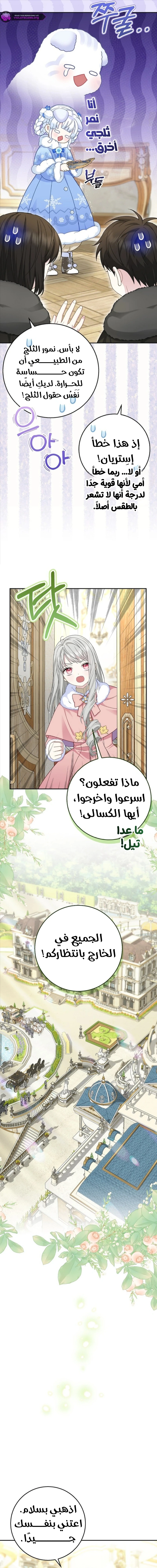 الصفحة 17