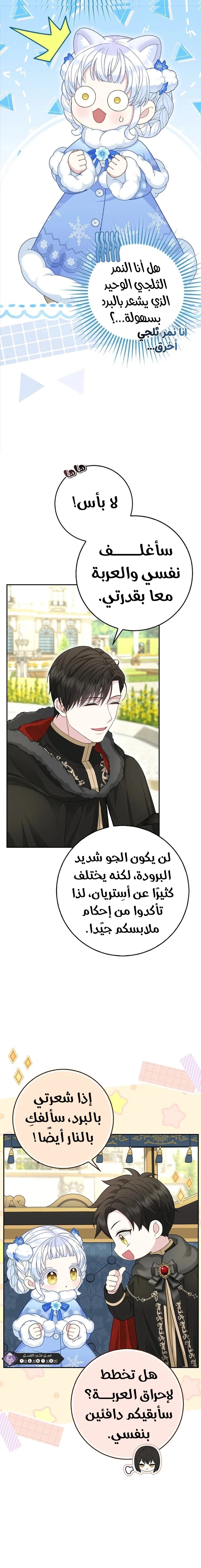 الصفحة 3