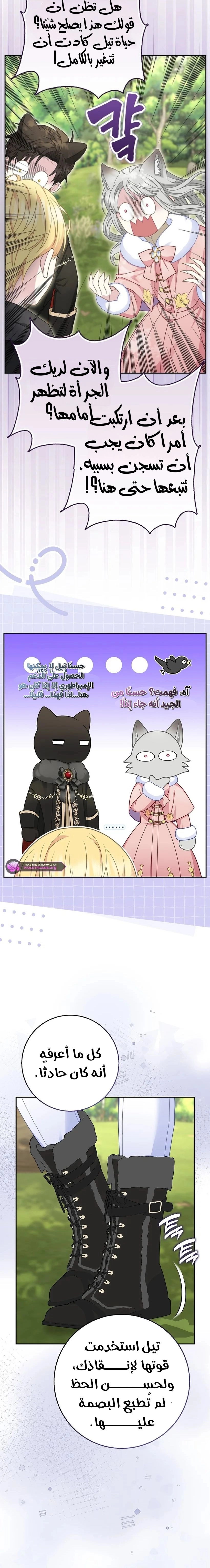 الصفحة 11