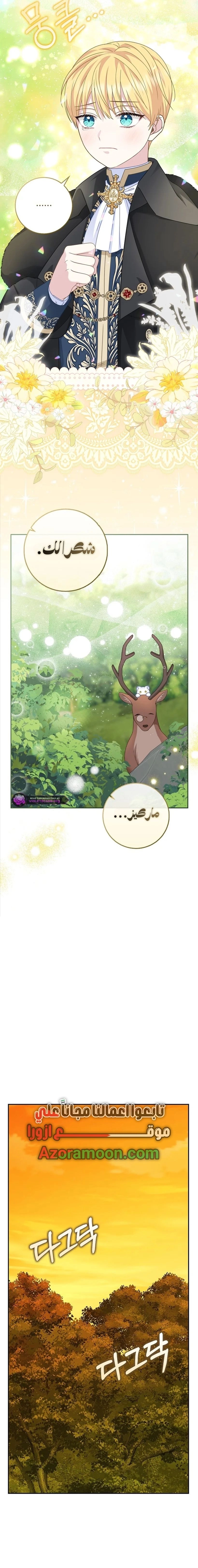 الصفحة 19