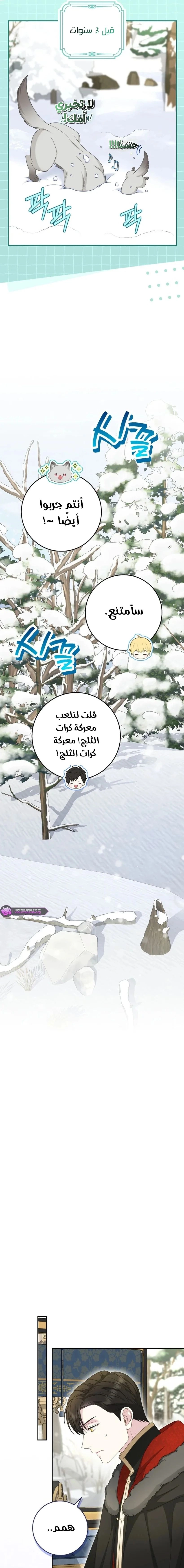 الصفحة 14