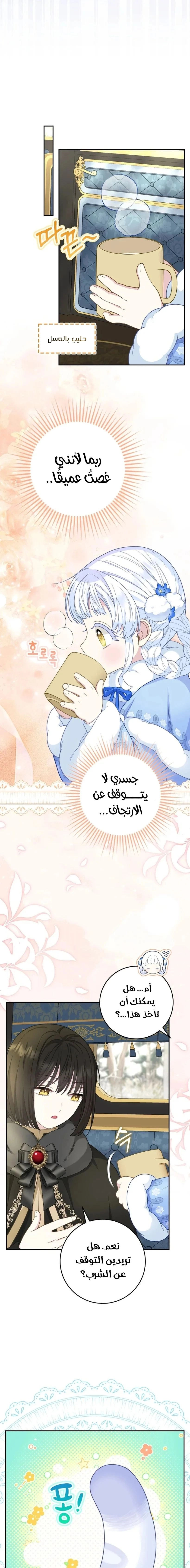الصفحة 16