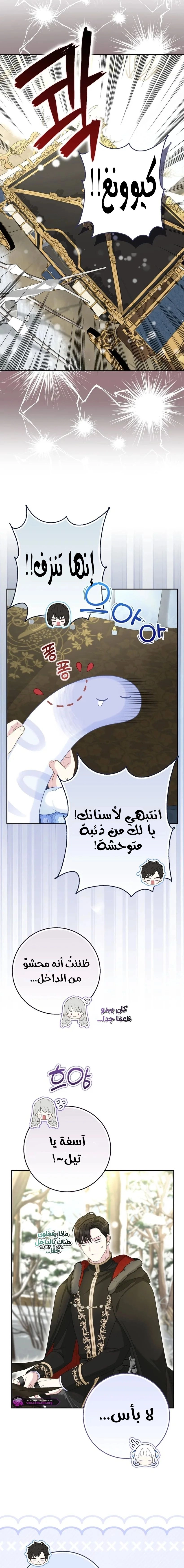 الصفحة 20
