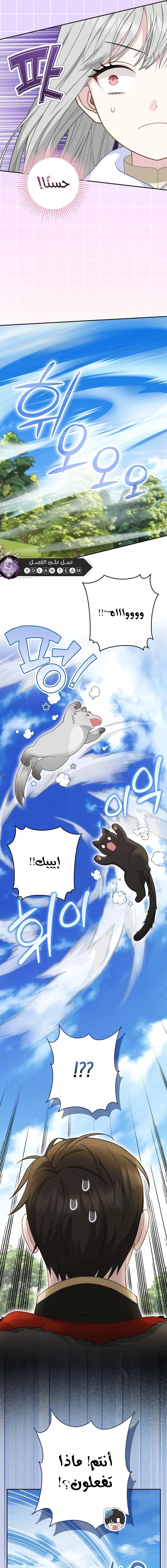 الصفحة 16