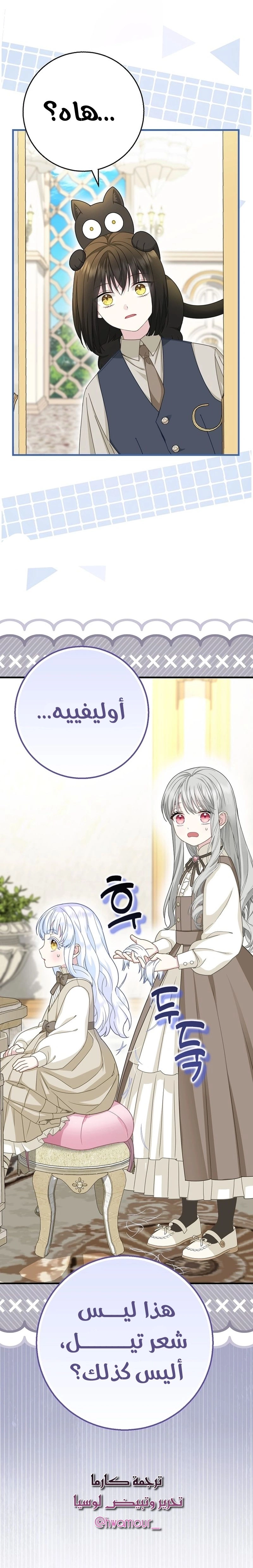 الصفحة 19