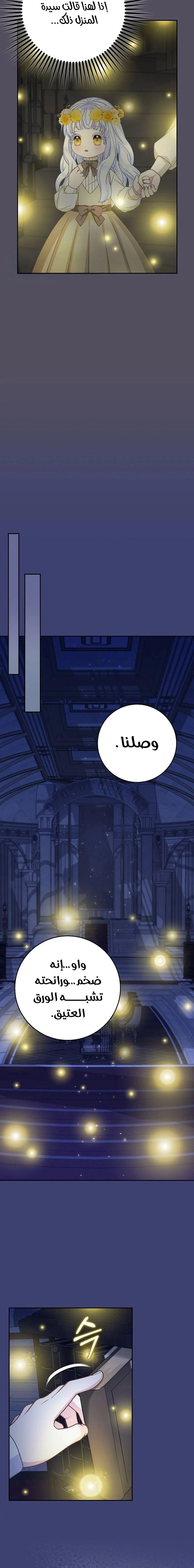 الصفحة 17