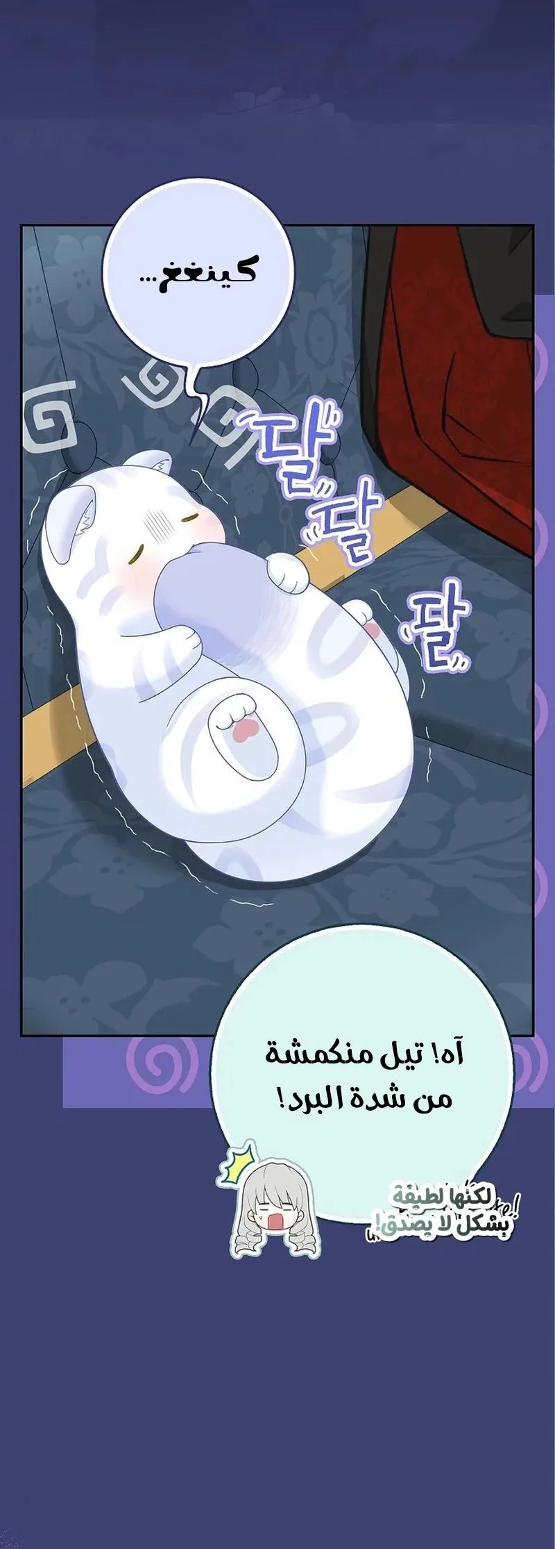 الصفحة 5