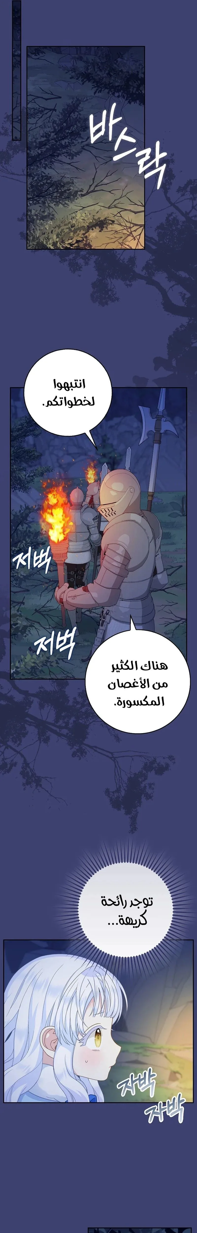 الصفحة 22