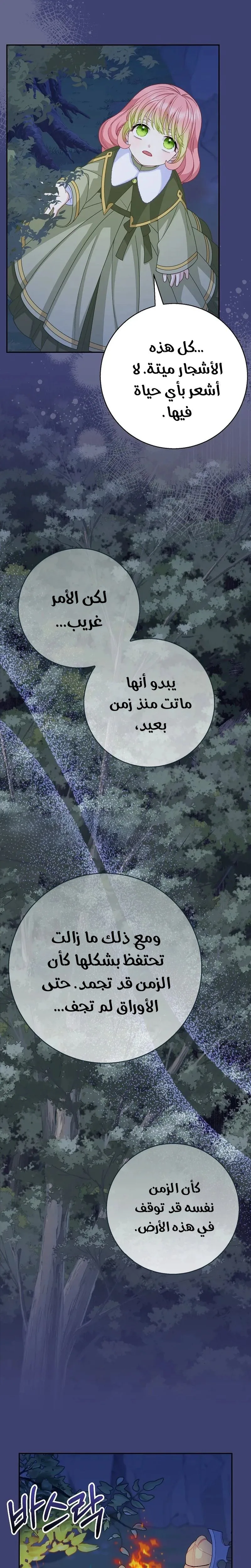 الصفحة 24
