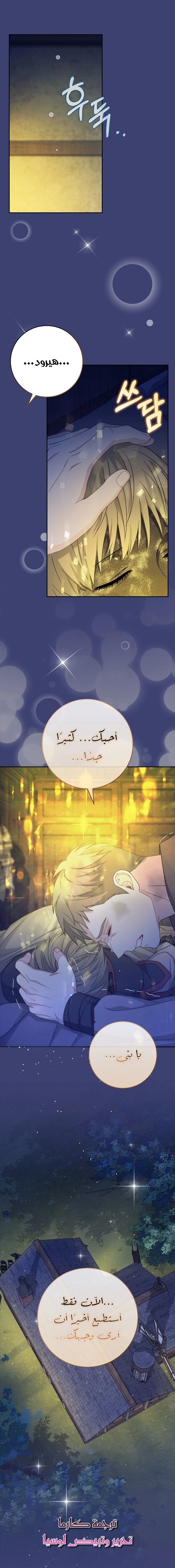 الصفحة 19