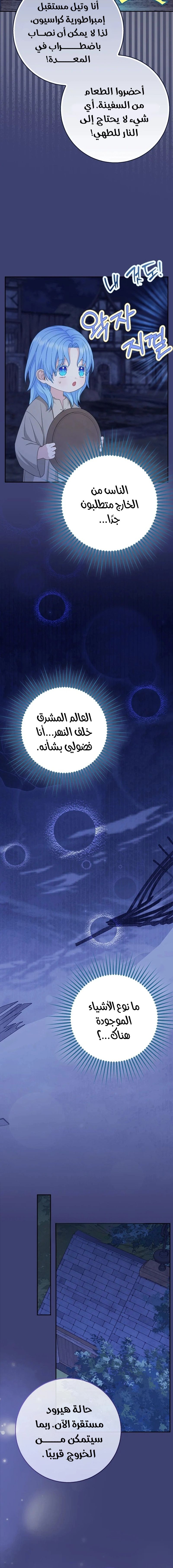 الصفحة 13