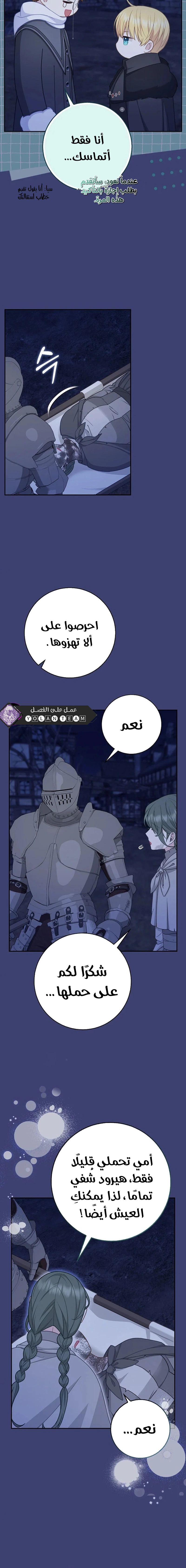 الصفحة 17