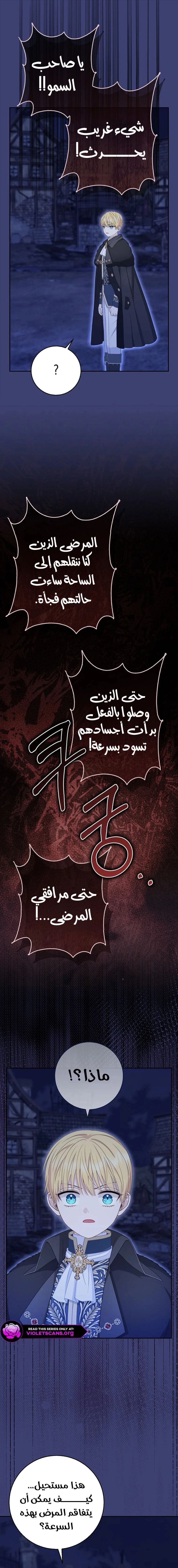 الصفحة 19