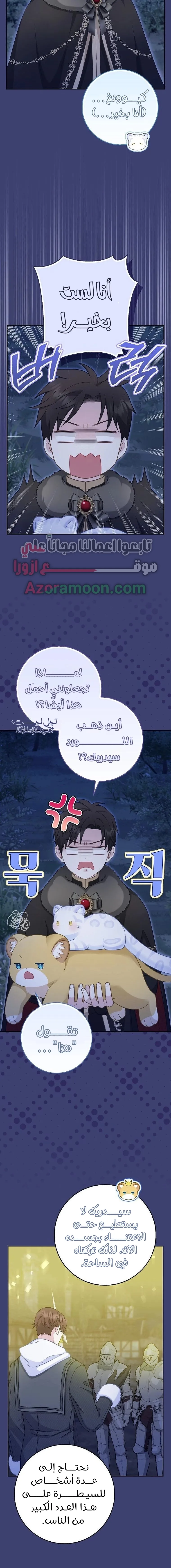 الصفحة 12
