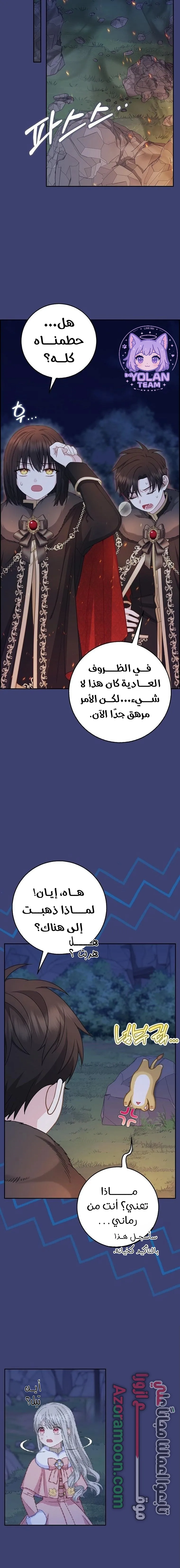 الصفحة 17