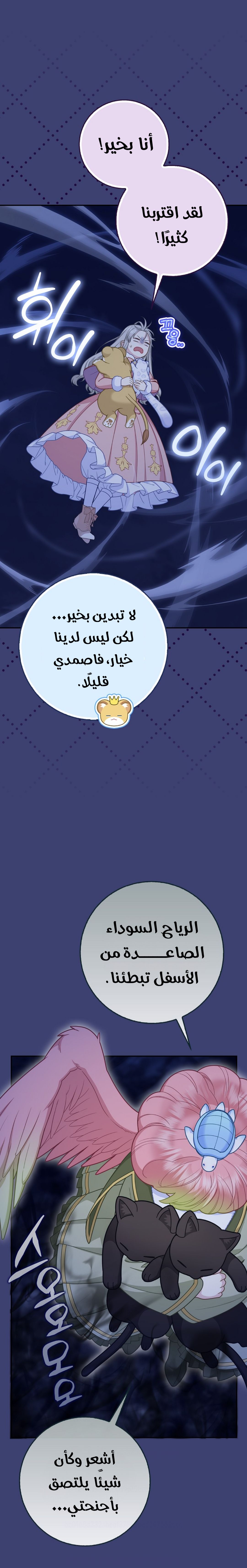 الصفحة 8