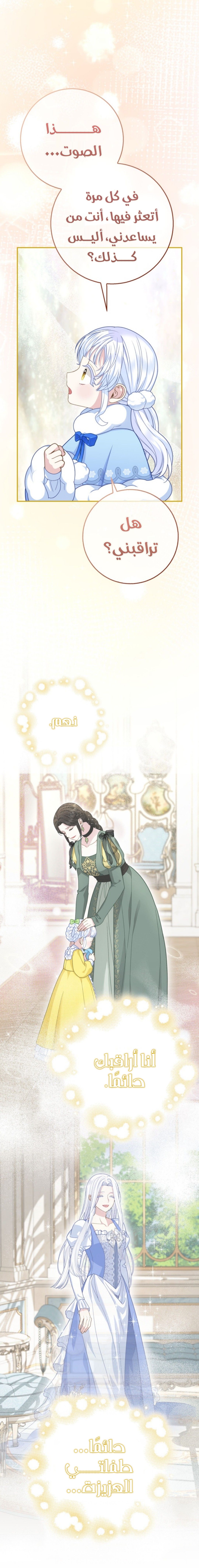 الصفحة 21