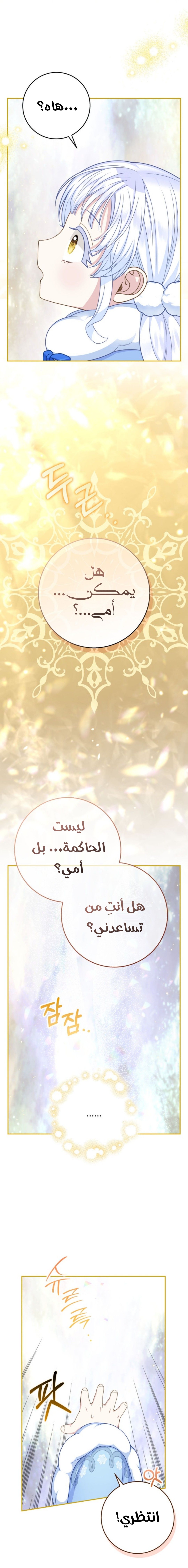 الصفحة 22