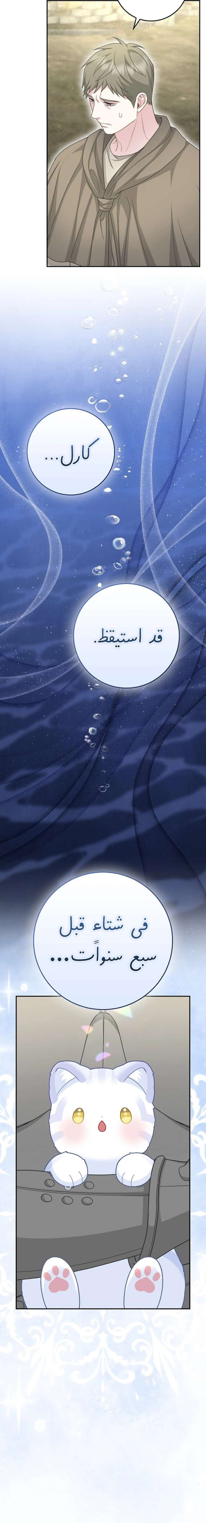 الصفحة 21