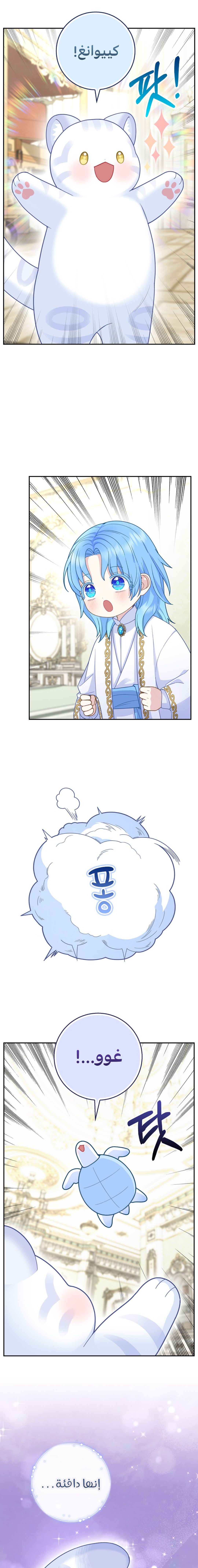 الصفحة 17