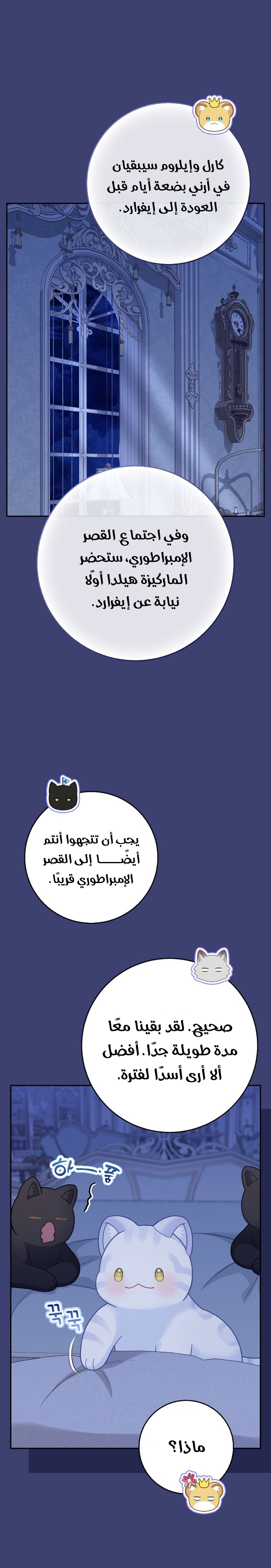 الصفحة 19