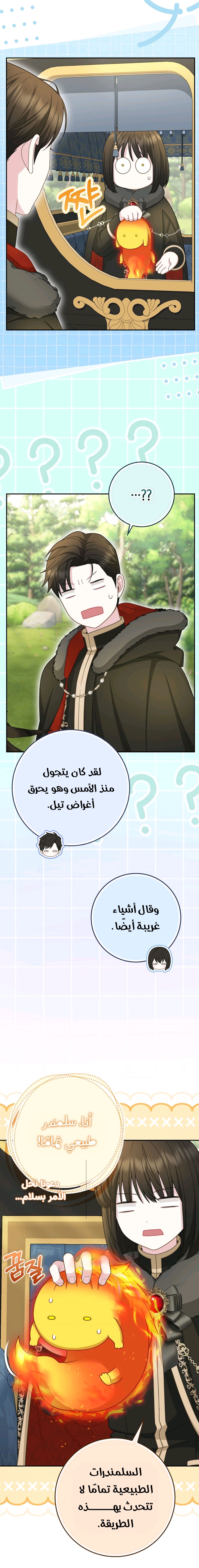 الصفحة 15