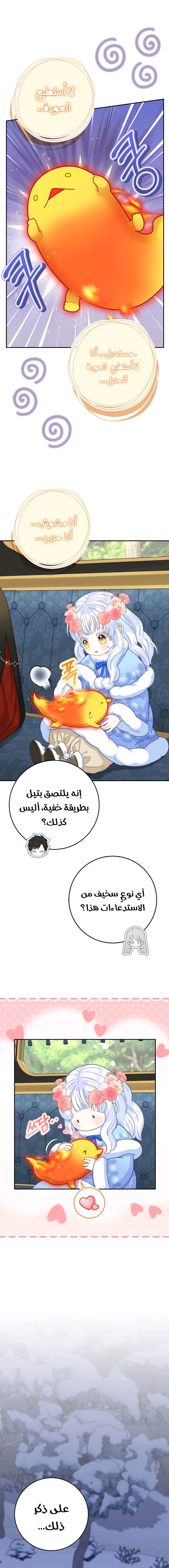 الصفحة 17