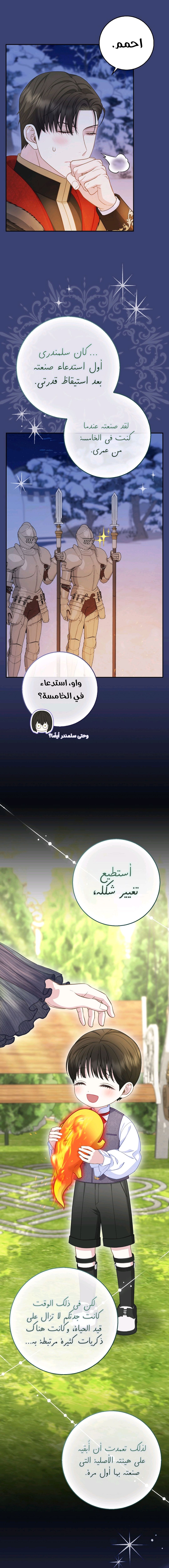 الصفحة 19