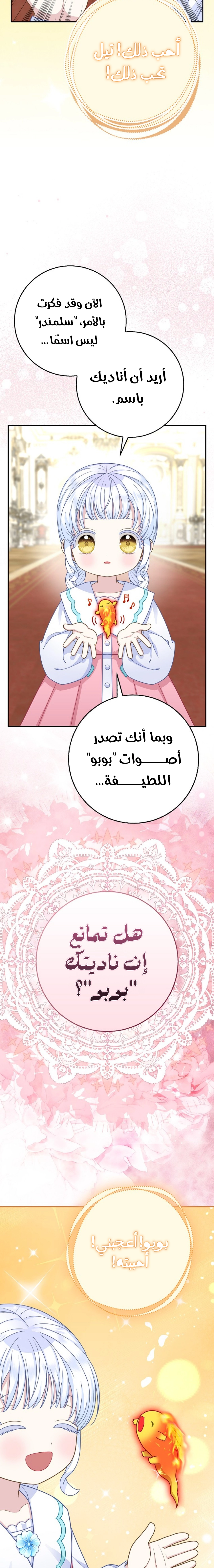 الصفحة 17