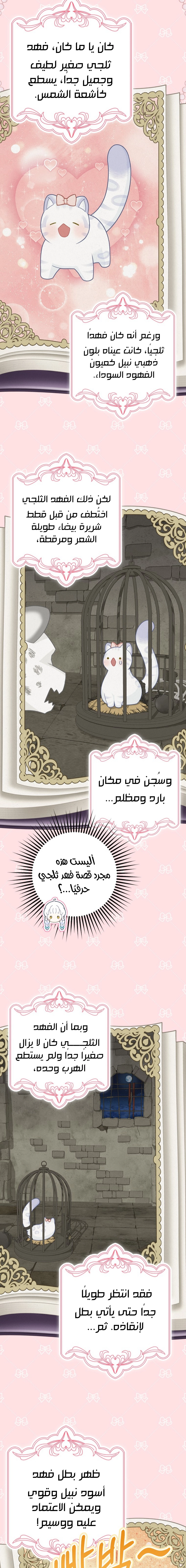 الصفحة 21