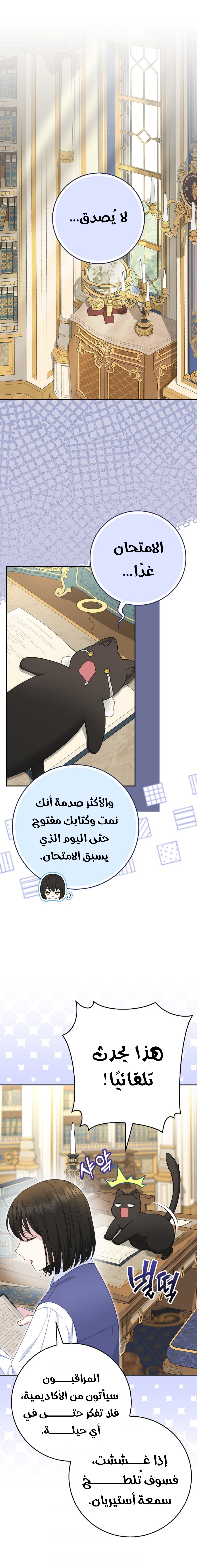 الصفحة 5