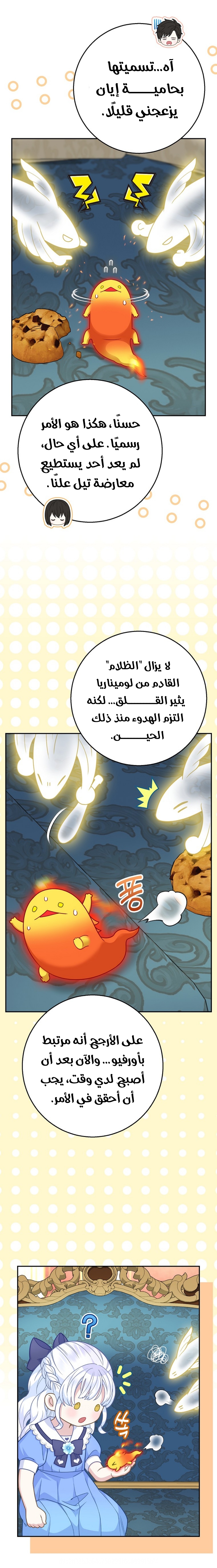 الصفحة 14