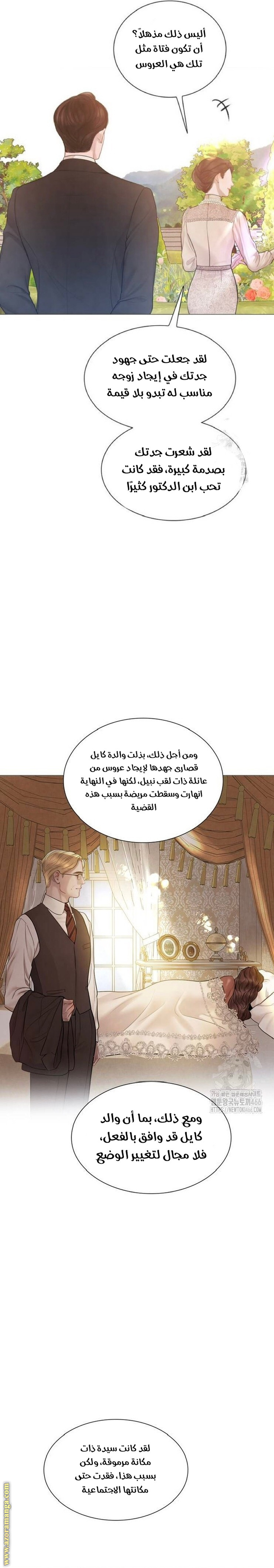 الصفحة 21