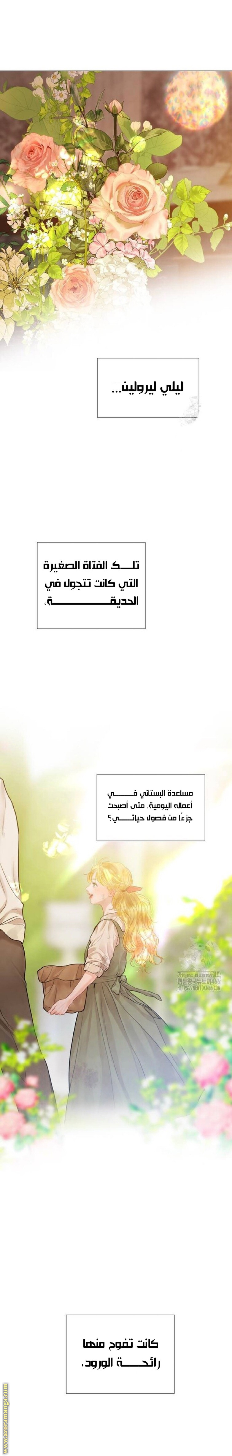 الصفحة 30