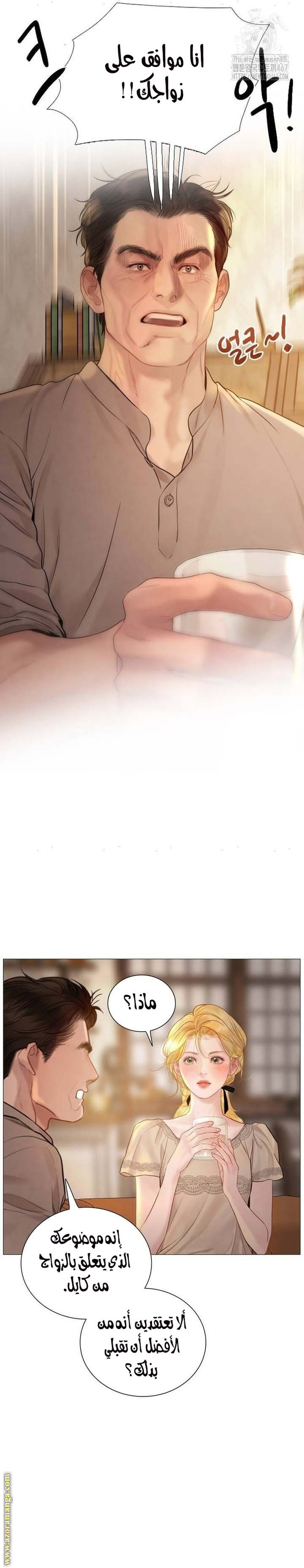 الصفحة 17