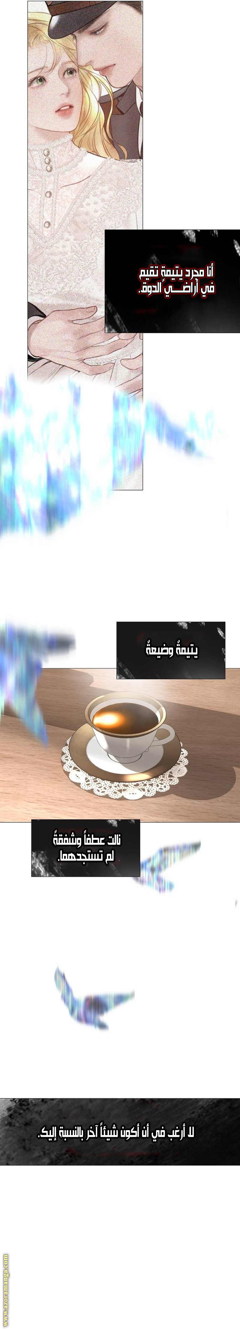 الصفحة 23